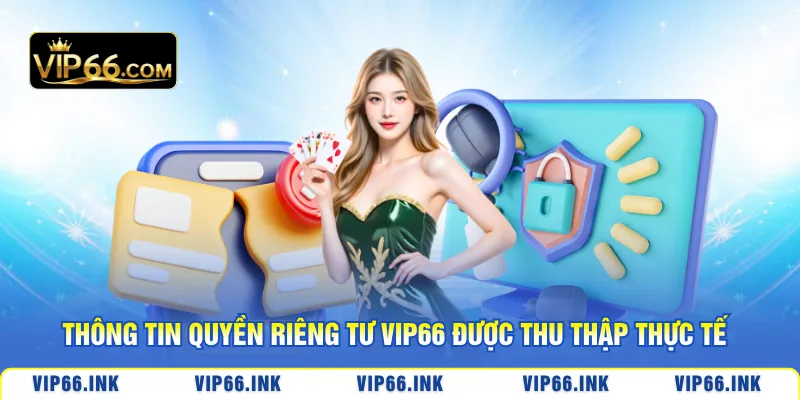 Thông tin quyền riêng tư VIP66 được thu thập thực tế